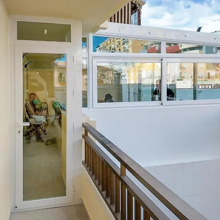 Pet Friendly In Appartement